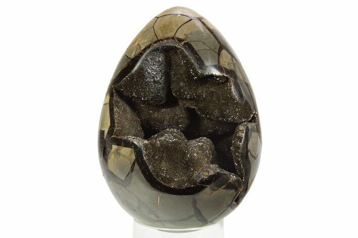 Septarian Dragon Egg Geode - Black Crystals #304619